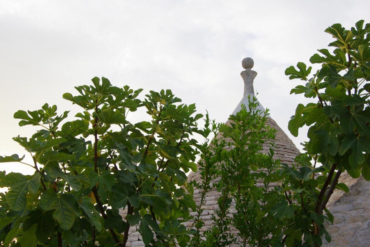 Villa Castelli Masseria Sciaiani Piccola מראה חיצוני תמונה