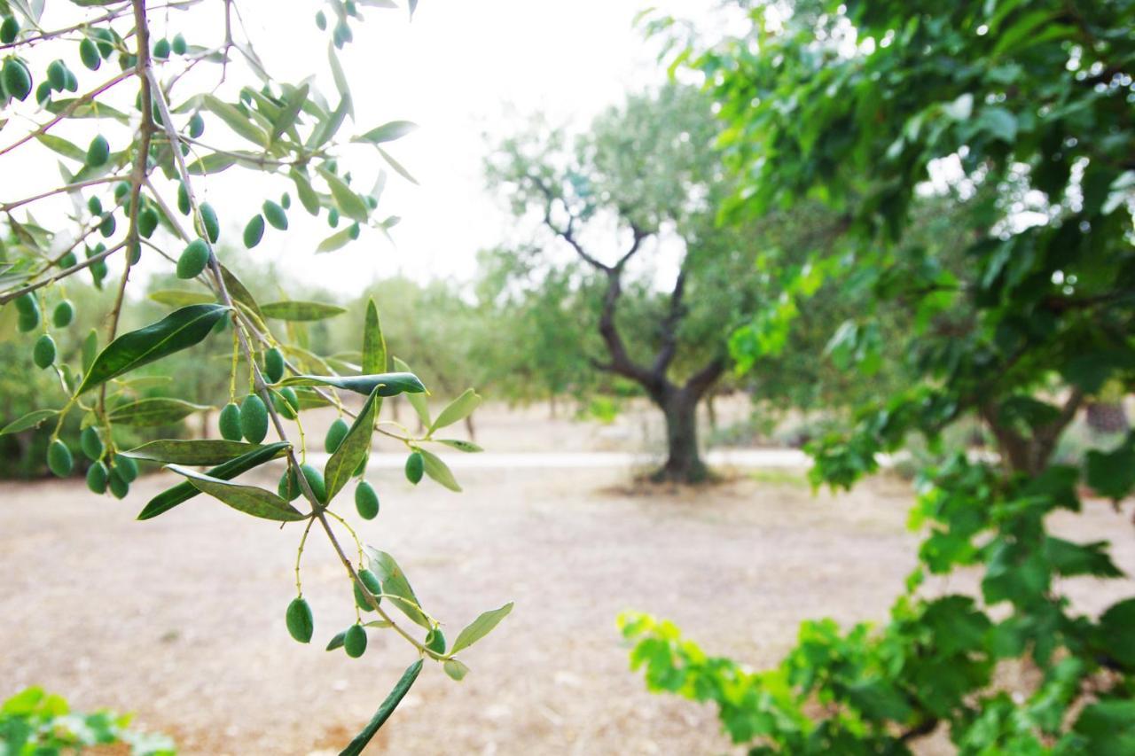 Villa Castelli Masseria Sciaiani Piccola מראה חיצוני תמונה